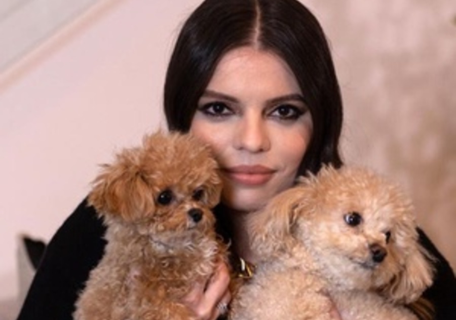 Image credits to Forbes Magazine