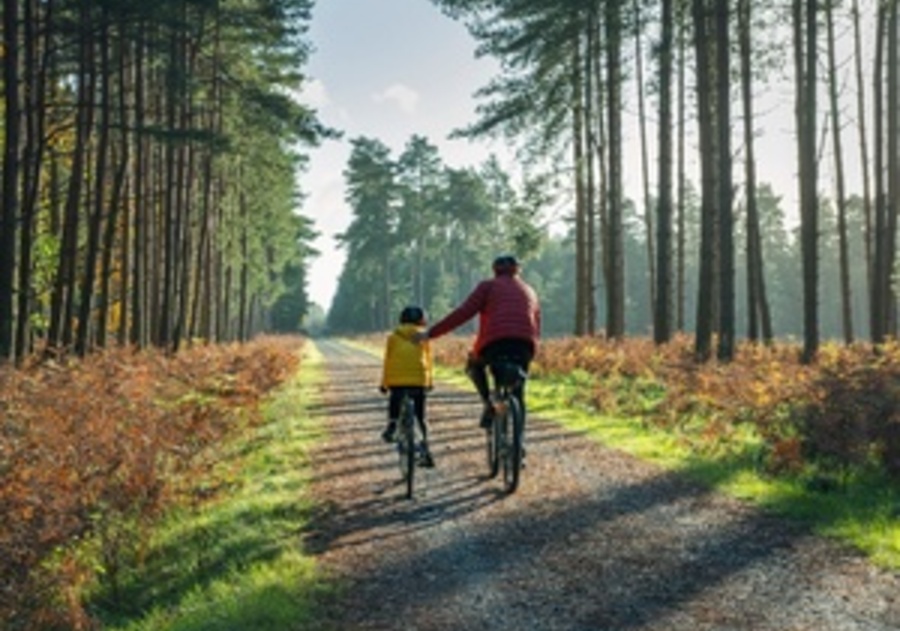 Image credits to Entrepreneur.com