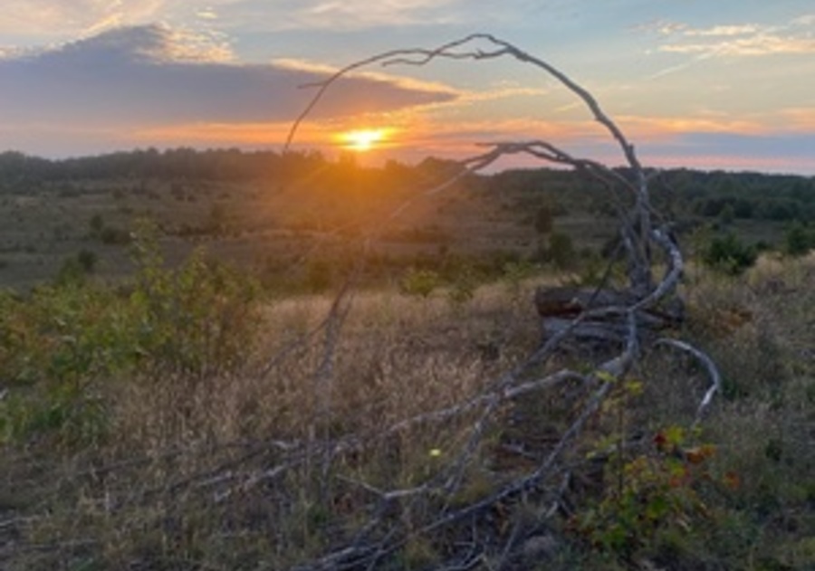 Image credits to Forbes Magazine