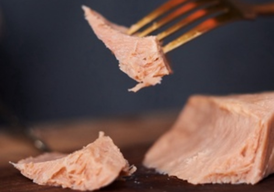 Image credits to TechCrunch