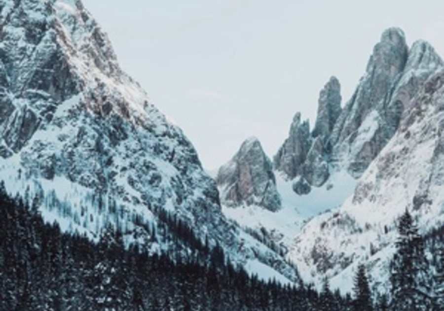 Image credits to Forbes Magazine