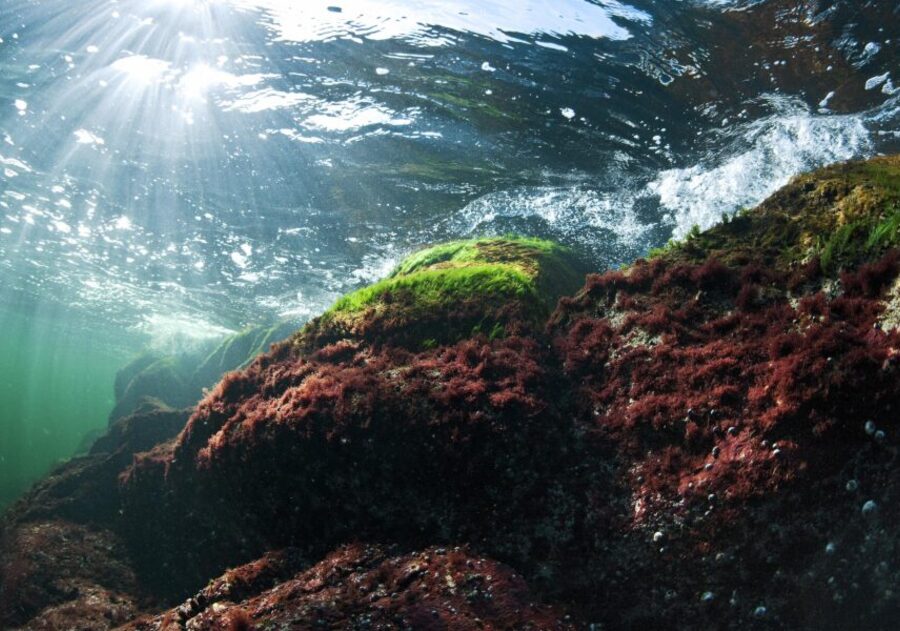 Image credits to techbullion.com/