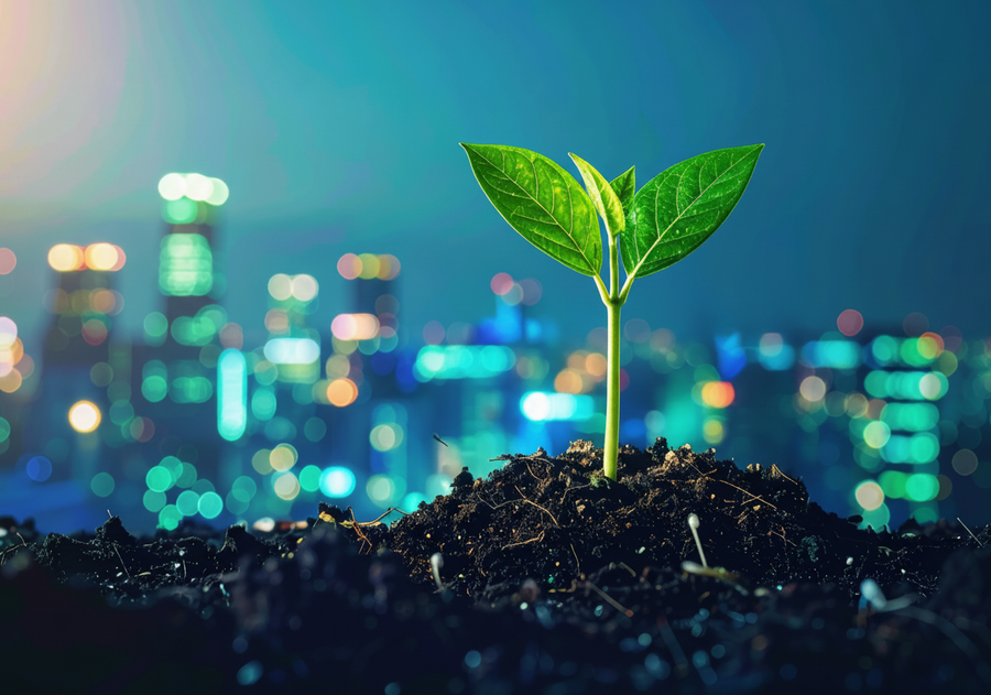 Image credits to Entrepreneur.com